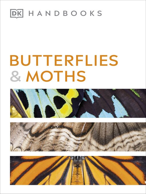 Cover image for Butterflies and Moths